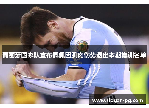 葡萄牙国家队宣布佩佩因肌肉伤势退出本期集训名单 葡萄牙国家队宣布佩佩因肌肉伤势退出本期集训名单