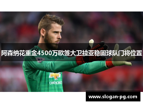 阿森纳花重金4500万欧签大卫拉亚稳固球队门将位置