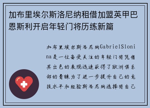 加布里埃尔斯洛尼纳租借加盟英甲巴恩斯利开启年轻门将历练新篇