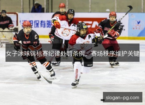 女子冰球锦标赛纪律处罚条例，赛场秩序维护关键